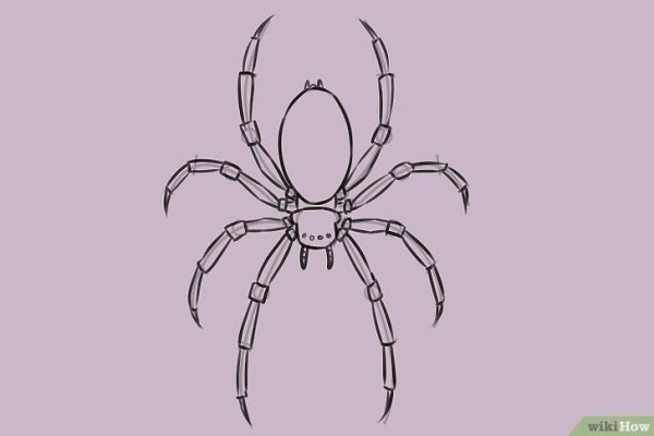 Паук карандашом