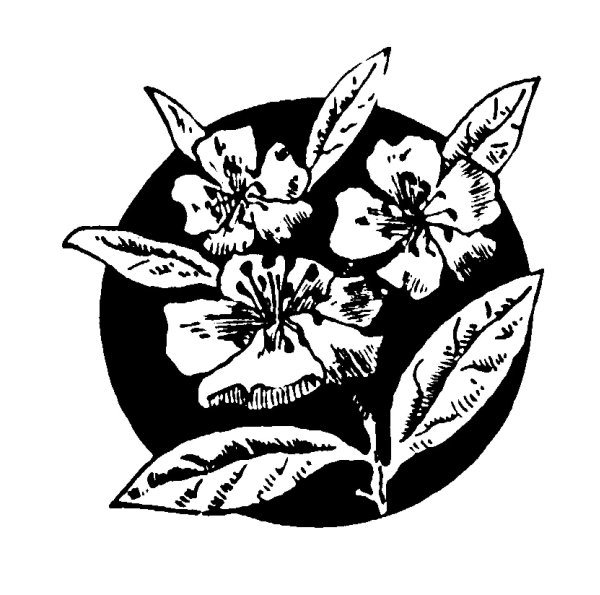 Контур для выжигания