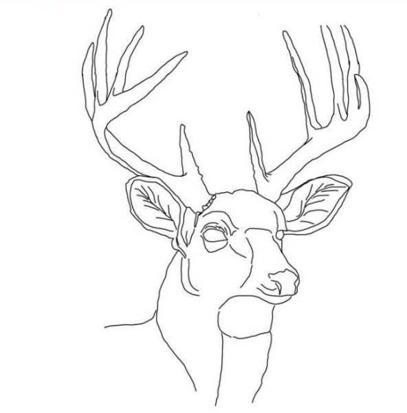 Выжигание по дереву для новичков