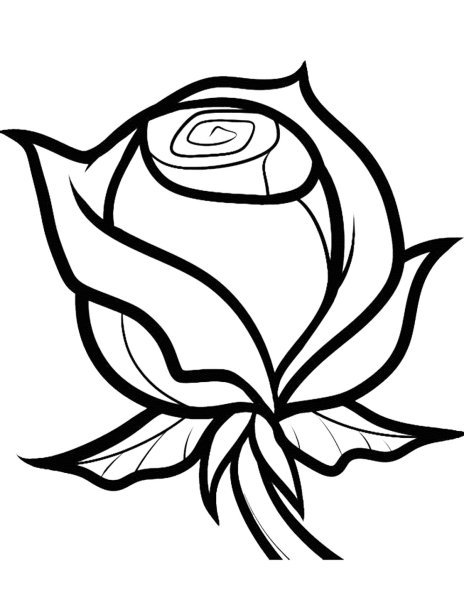 Нарисовать розу