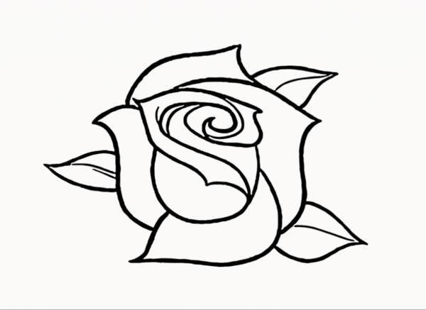 Рисунки для срисовки лёгкие розы