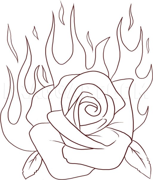 Рисунок розы для срисовки легкие