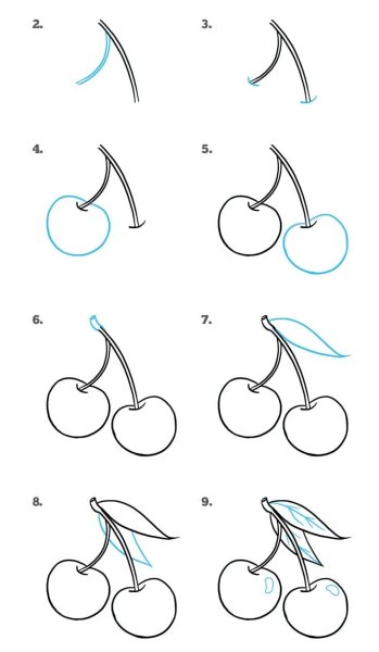 Схемы рисования для начинающих