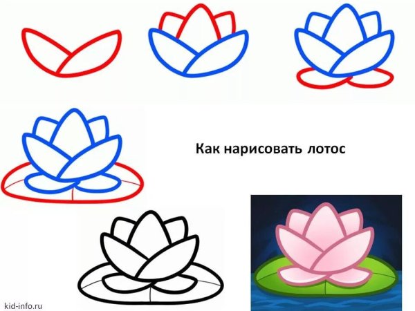 Схема рисования котенка для детей