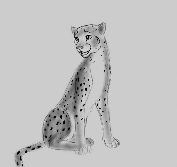 Гепард рисунок карандашом