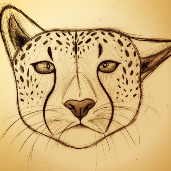 Гепард рисунок