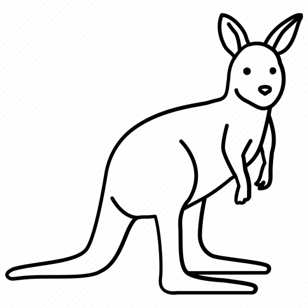 Поэтапное рисование кенгуру для детей