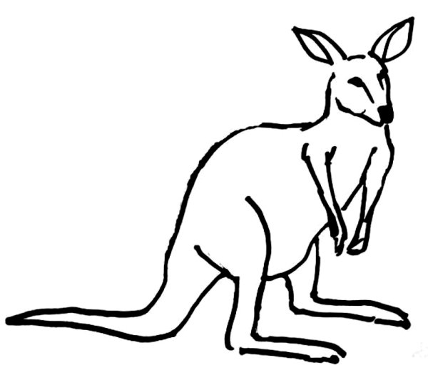Кенгуру для рисования