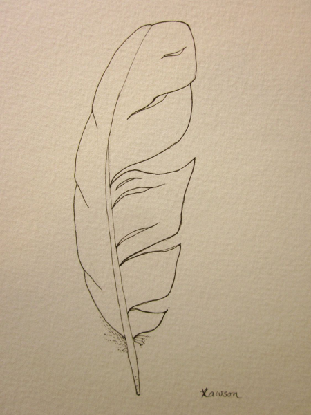 Перо для срисовки карандашом