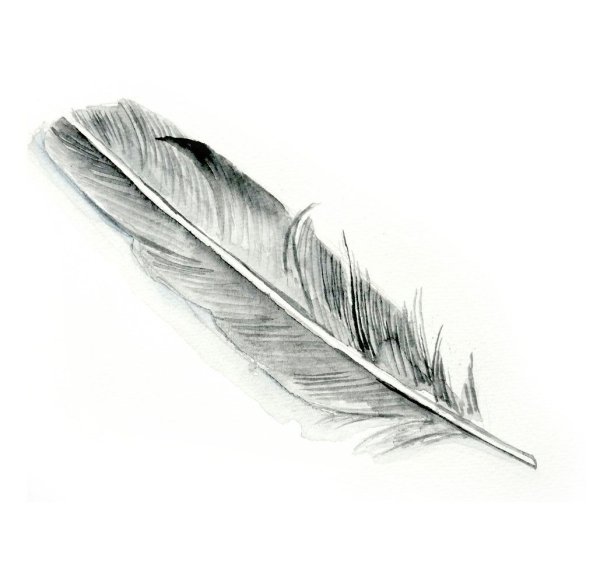 Нарисовать перо
