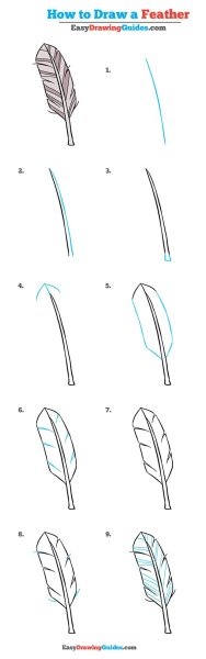 Павлинье перо рисунок карандашом