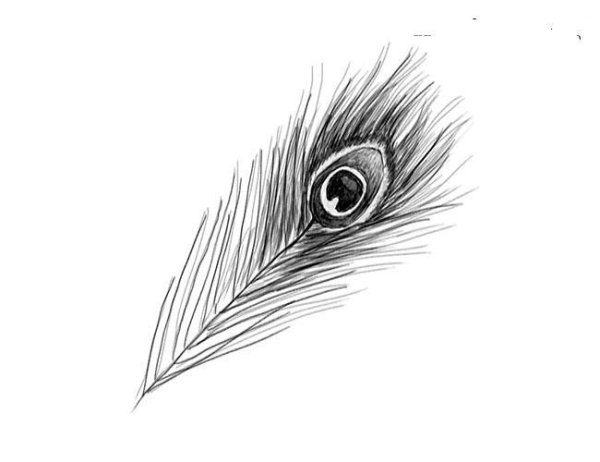 Перо лёгкое