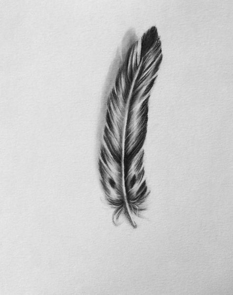 Перо черной ручкой