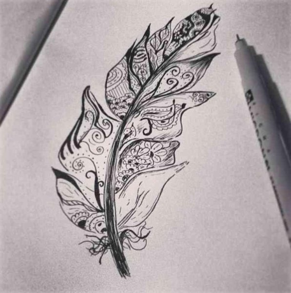 Птица с цветными перьями