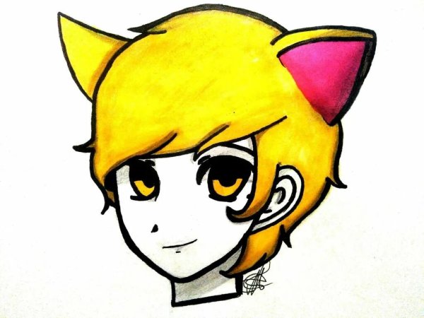 Феликс 13 карт