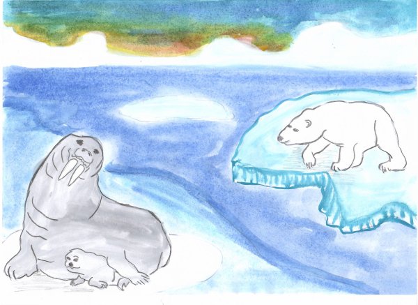 Арктика рисунок
