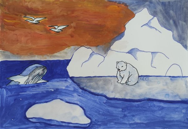 Арктика рисунок