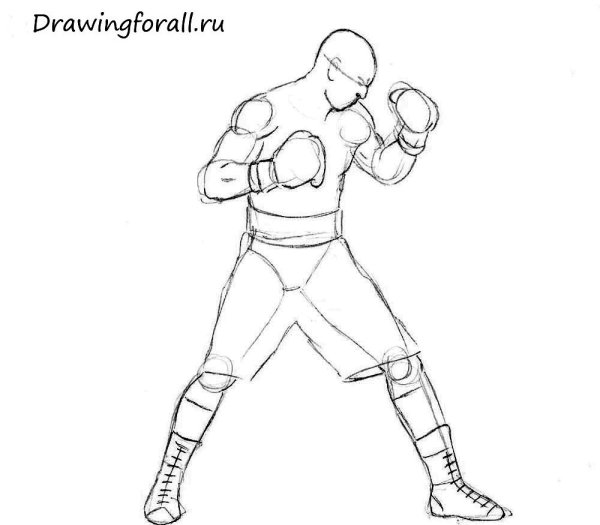 Боксер рисунок