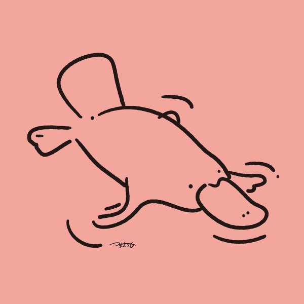 Утконос тату