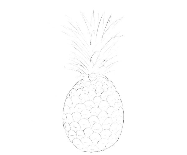 Ананас карандашом