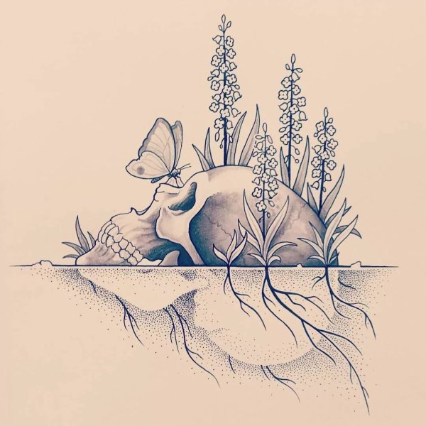 Необычные рисунки Графика