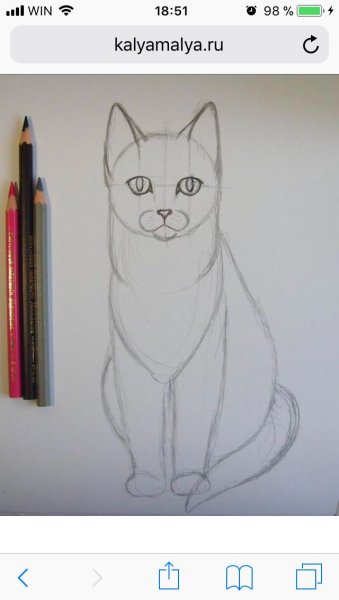 Лёгкие рисунки для срисовки попугай