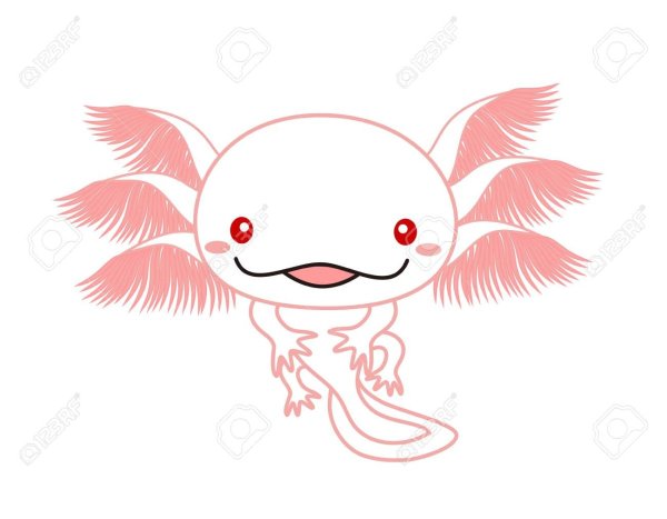 Аксолотль покемон