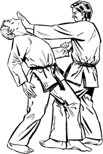 Пряник кимоно дзюдо