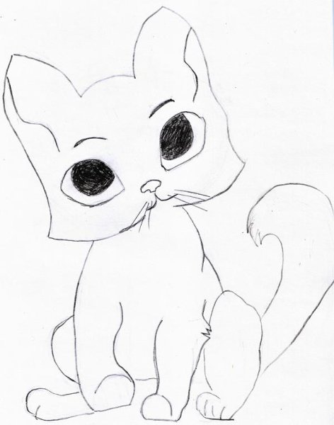 Кот карандашом