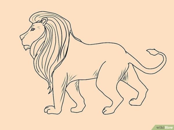 Рисунок Льва легкий