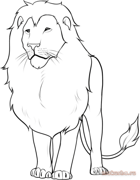Рисунок Льва карандашом для срисовки