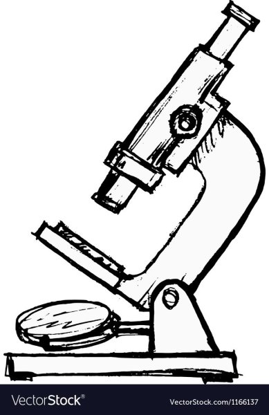 Микроскоп раскраска