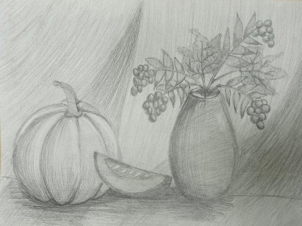 Натюрморт осень карандашом