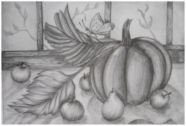 Осенний натюрморт карандашом