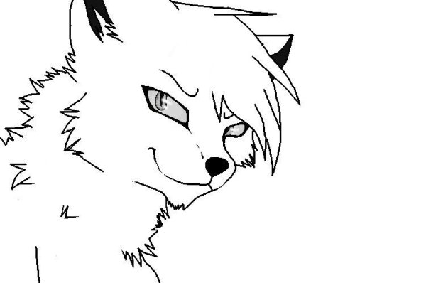 Коты Воители рисунки для срисовки