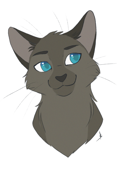 Коты Воители аниме