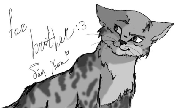 Коты Воители Наброски
