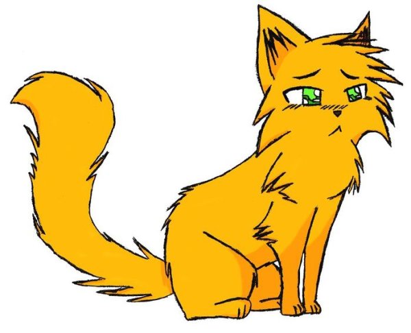 Раскраска коты Воители Огнезвёзд