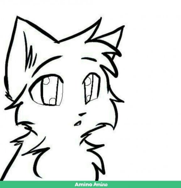 Коты Воители аниме