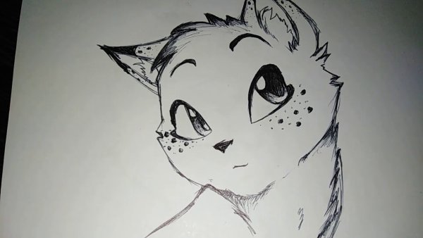 Коты Воители рисунки карандашом