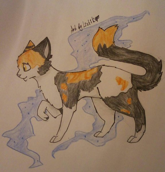 Картинки котов воителей для срисовки