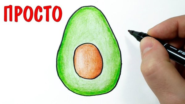 Авокадо для срисовки