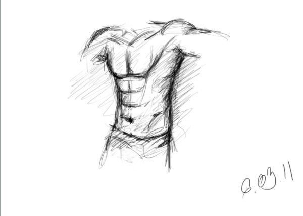 Мужской торс рисунок