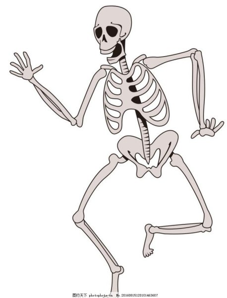 Скелет нарисовать