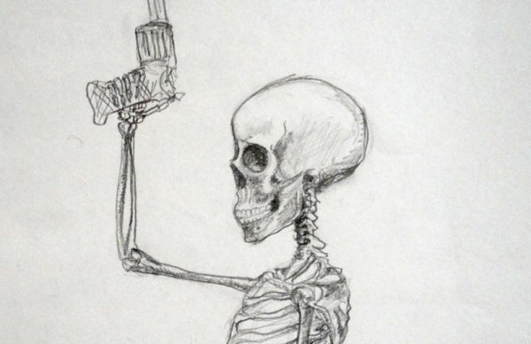 Скелет, Skeleton анатомия
