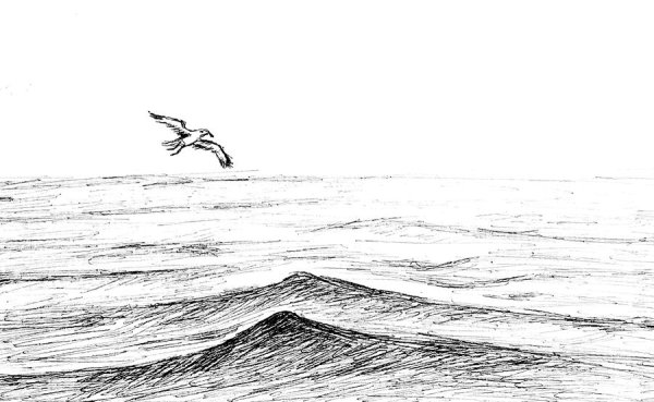 В море. Раскраска