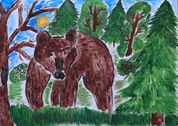 Природа Сибири рисунок