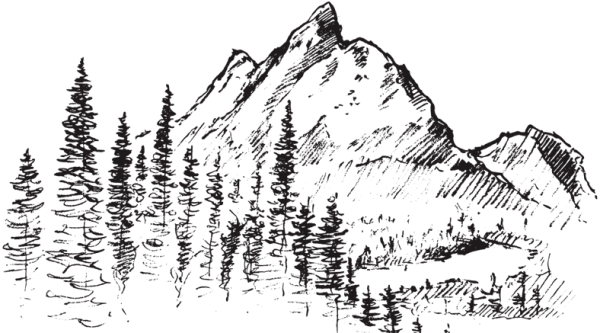 Тайга карандашом