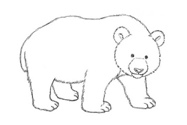 Медведь рисунок детский карандашом