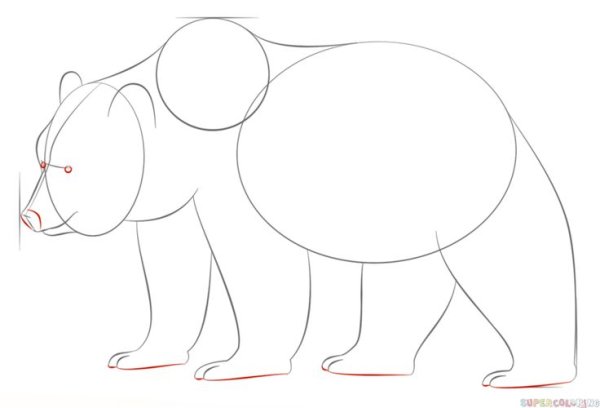 Бурый медведь поэтапно легко